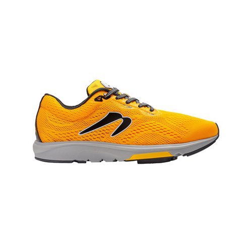 Newton Gravity 13